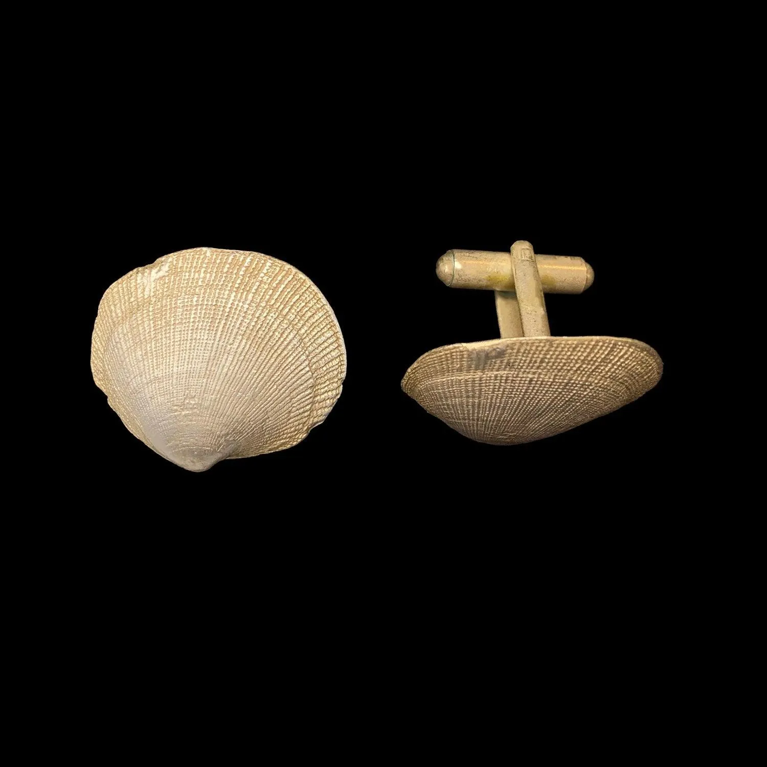 Beach Shells Cufflinks