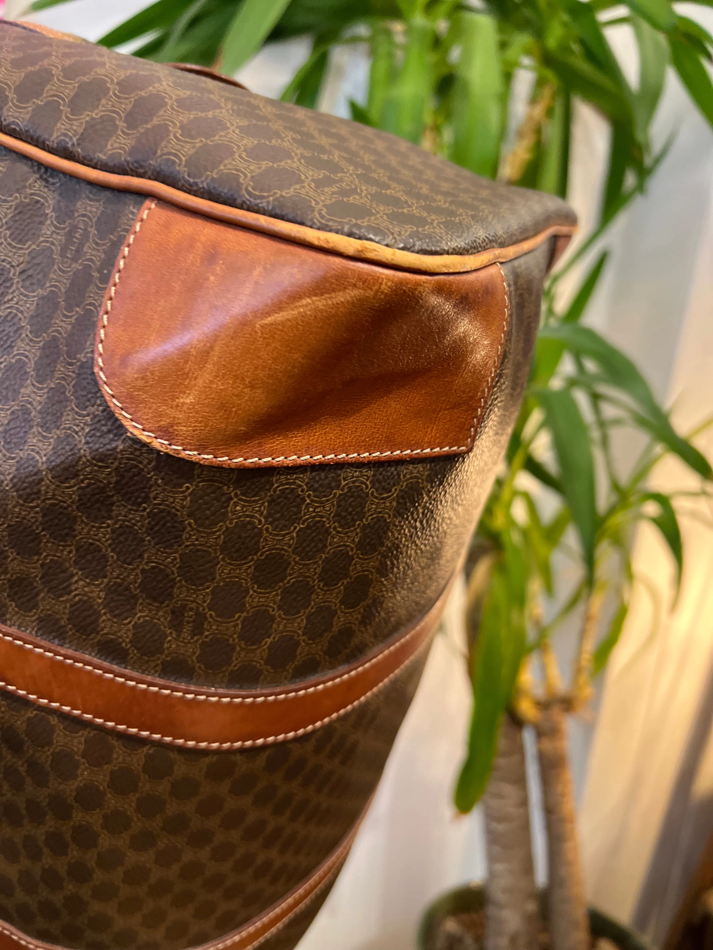 Celine Monogram Canvas & Leather Luggage